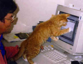 goldie and computer.wmf (135334 bytes)